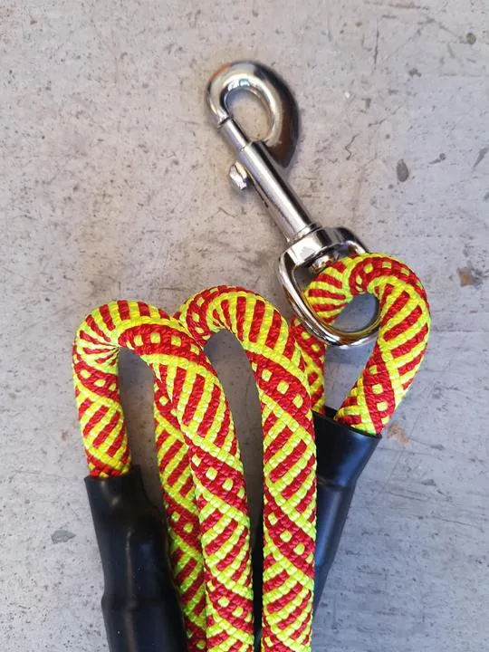Mountain Dog Leash 6'